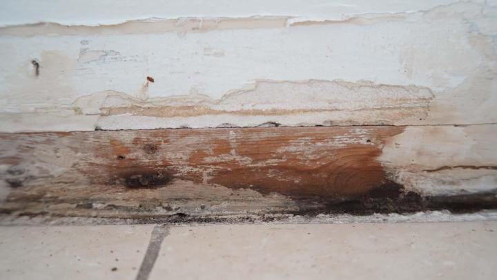 Mold Assessment Miami-Dade County